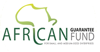 African Guarantee Fund logo — Brisk Credit's SME loan guarantee partner
